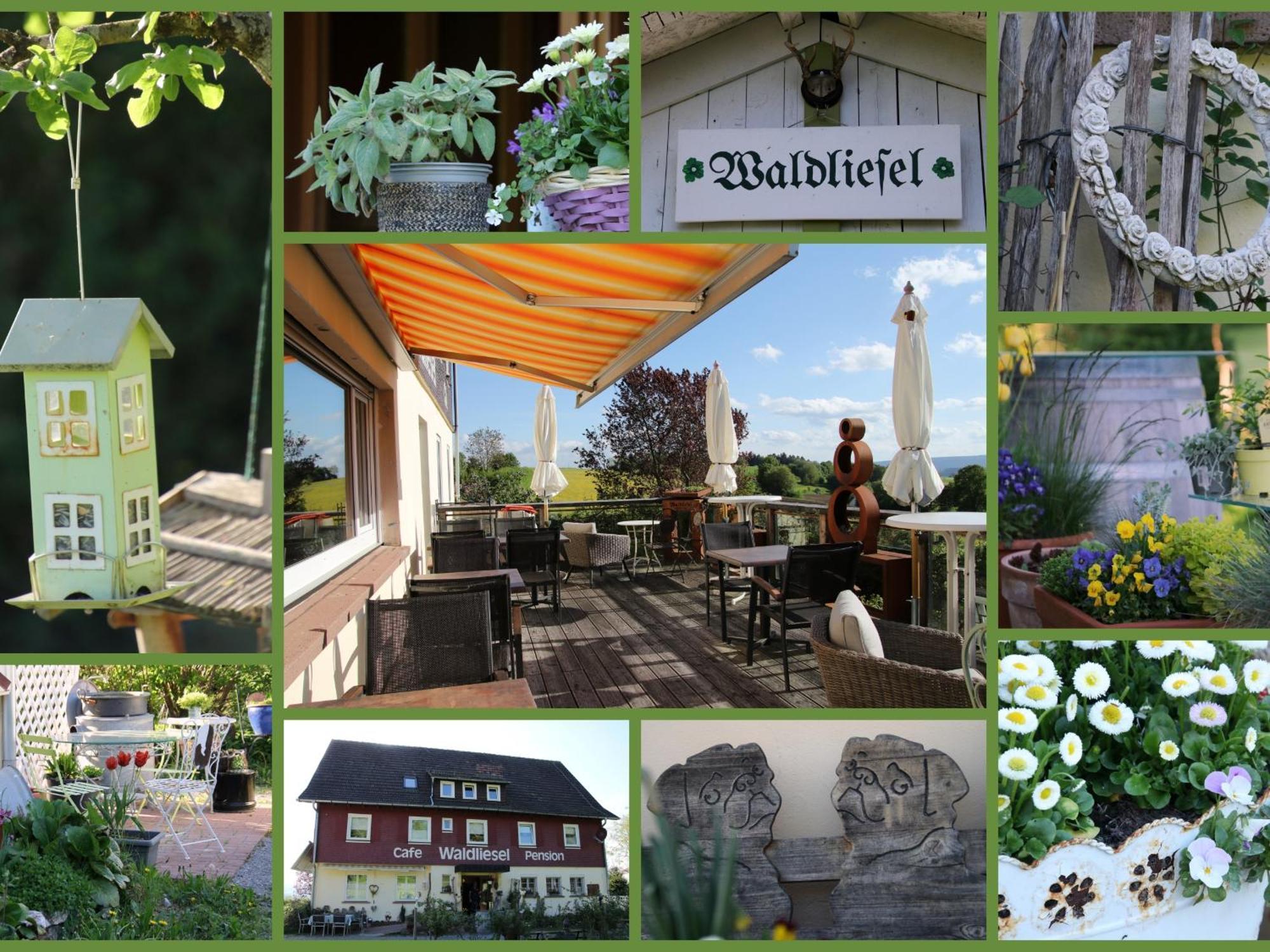 Pension Waldliesel Dornstetten Exterior foto